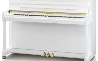 K-300 2
