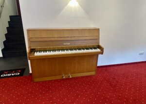 W. Hoffmann 110 1