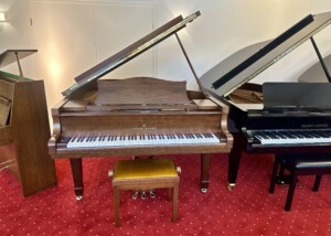 Young Chang G-185 Nussbaum 1